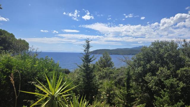 Villa Le Ginestre di Mare